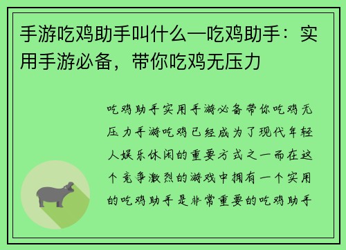 手游吃鸡助手叫什么—吃鸡助手：实用手游必备，带你吃鸡无压力